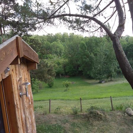 La Cabane En Bois Villemur-sur-Tarn Екстериор снимка
