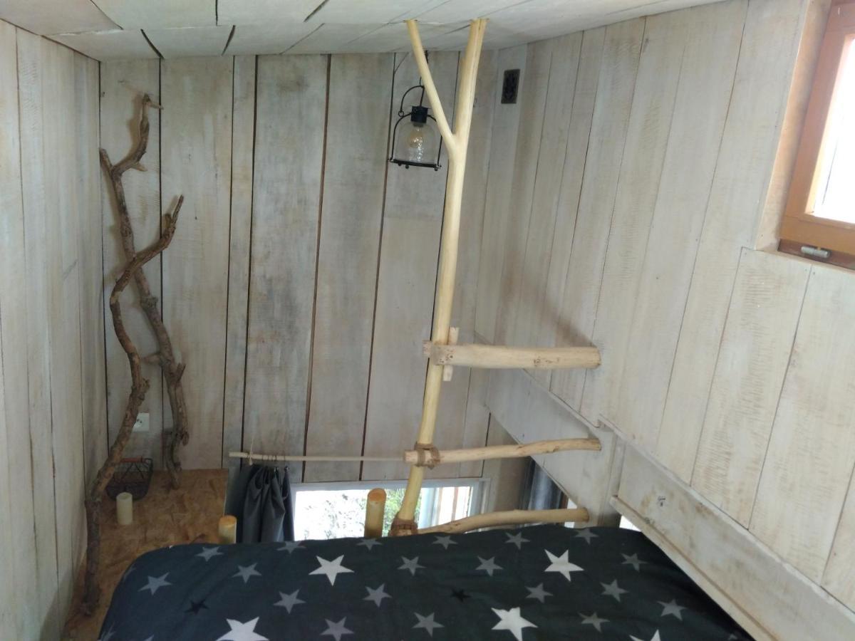 La Cabane En Bois Villemur-sur-Tarn Екстериор снимка