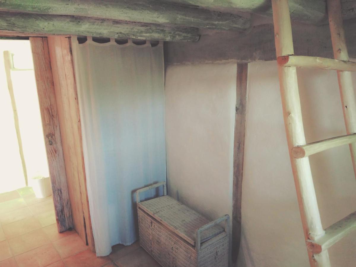 La Cabane En Bois Villemur-sur-Tarn Екстериор снимка