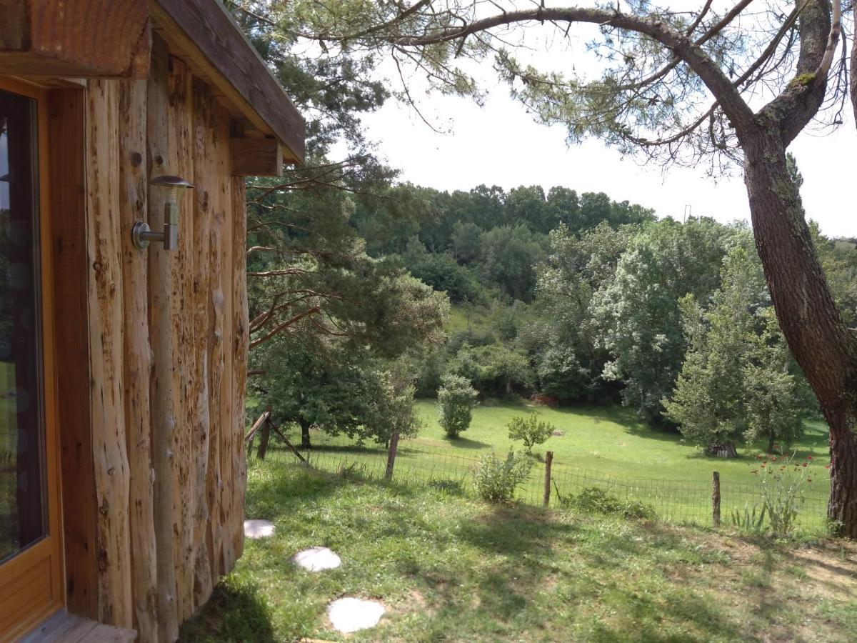 La Cabane En Bois Villemur-sur-Tarn Екстериор снимка