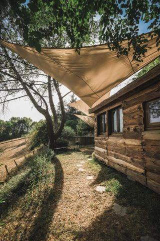 La Cabane En Bois Villemur-sur-Tarn Екстериор снимка