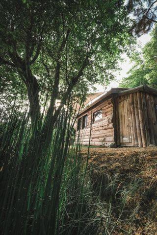 La Cabane En Bois Villemur-sur-Tarn Екстериор снимка